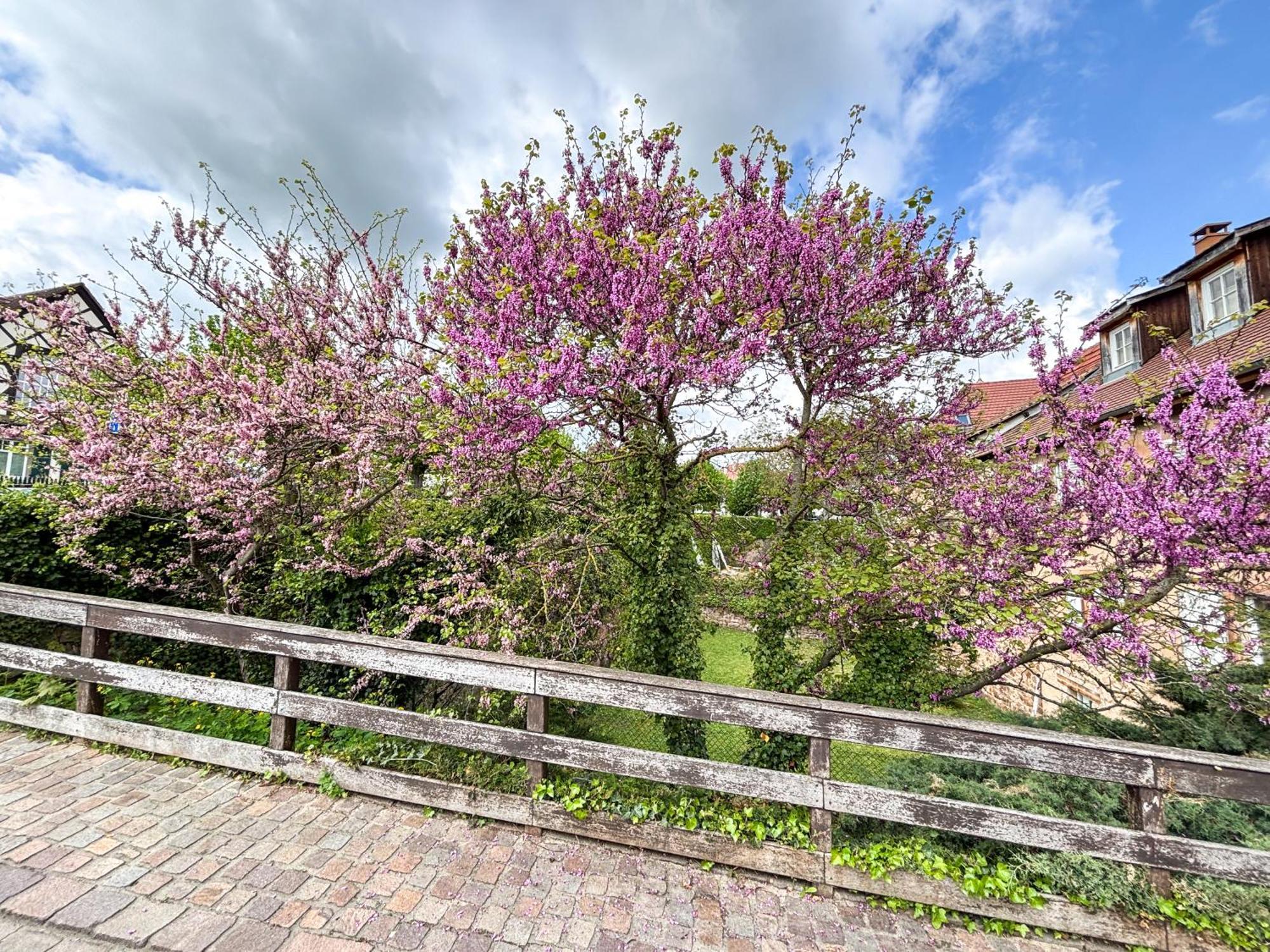 Le Pavillon Des Remparts - Commerces A Proximite - Centre-Ville - Appartement Cosy オベルネ エクステリア 写真