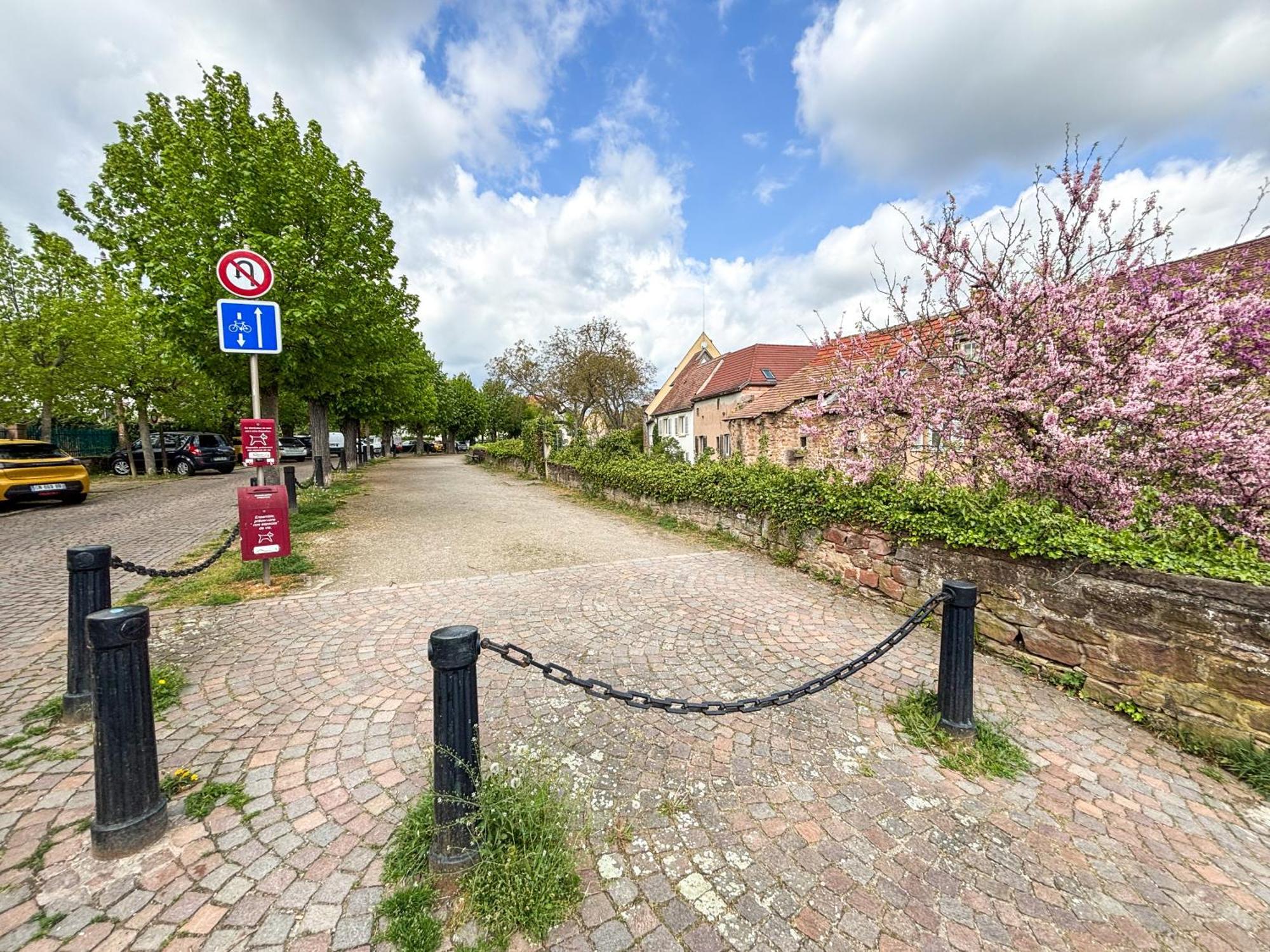Le Pavillon Des Remparts - Commerces A Proximite - Centre-Ville - Appartement Cosy オベルネ エクステリア 写真